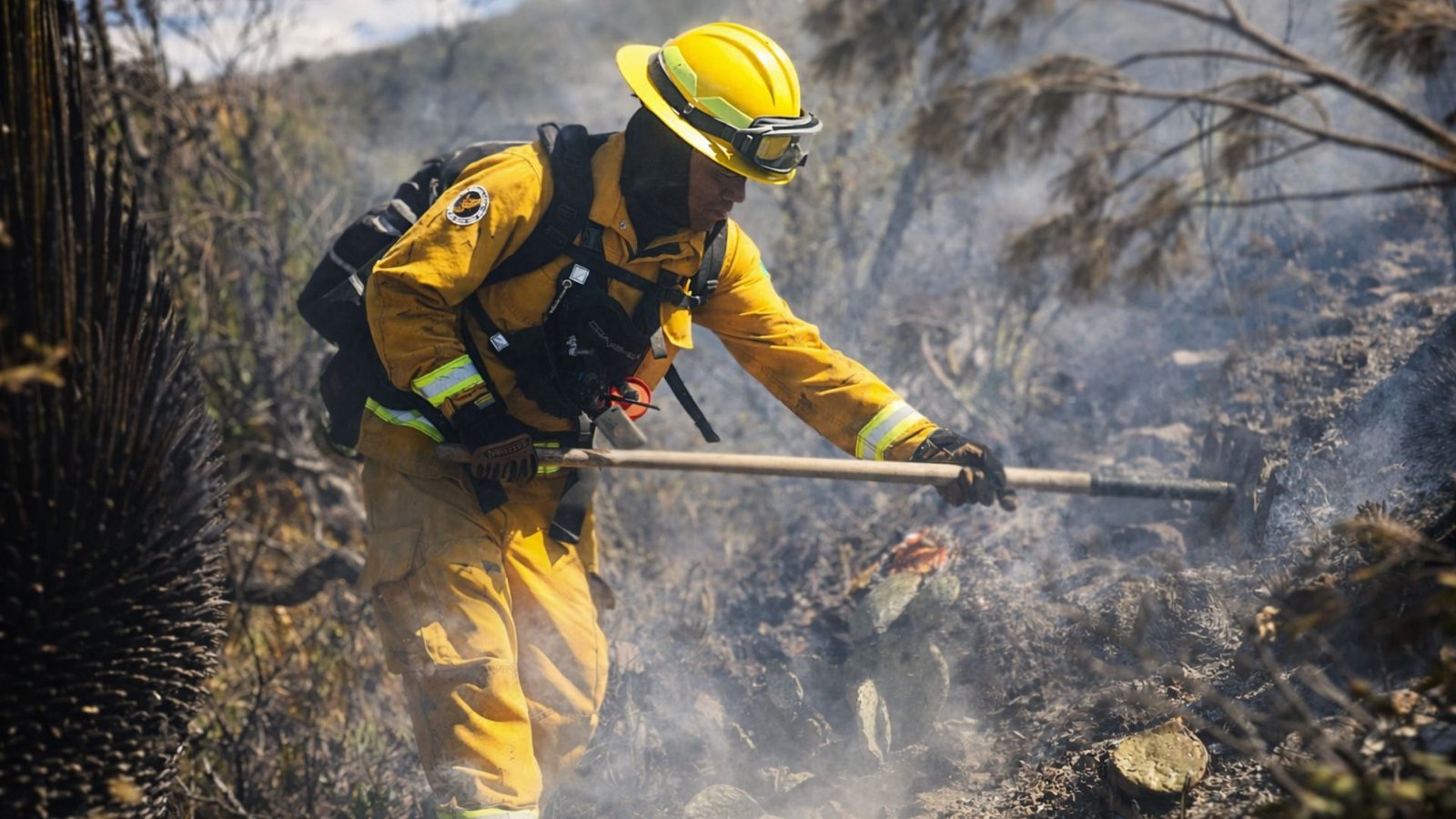 Pagina para descripcion (2)