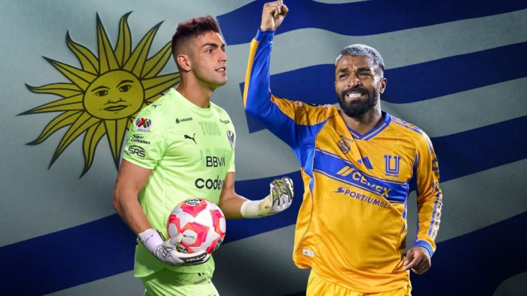 Plecas e informacion