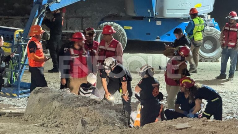 Plecas e informacion