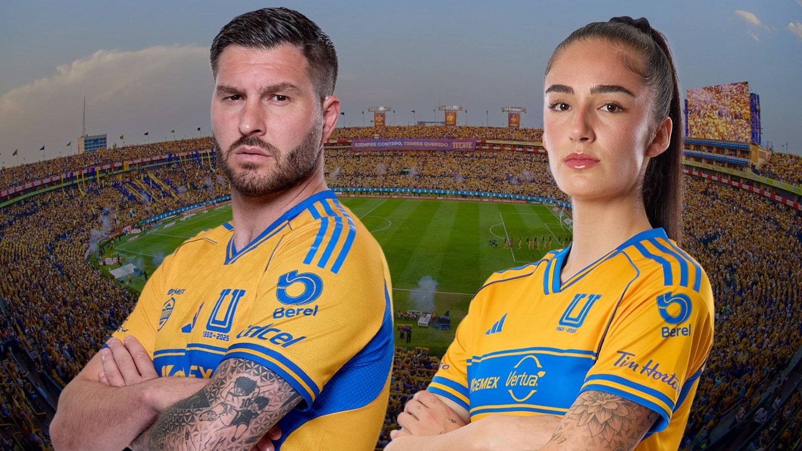 Plecas e informacion