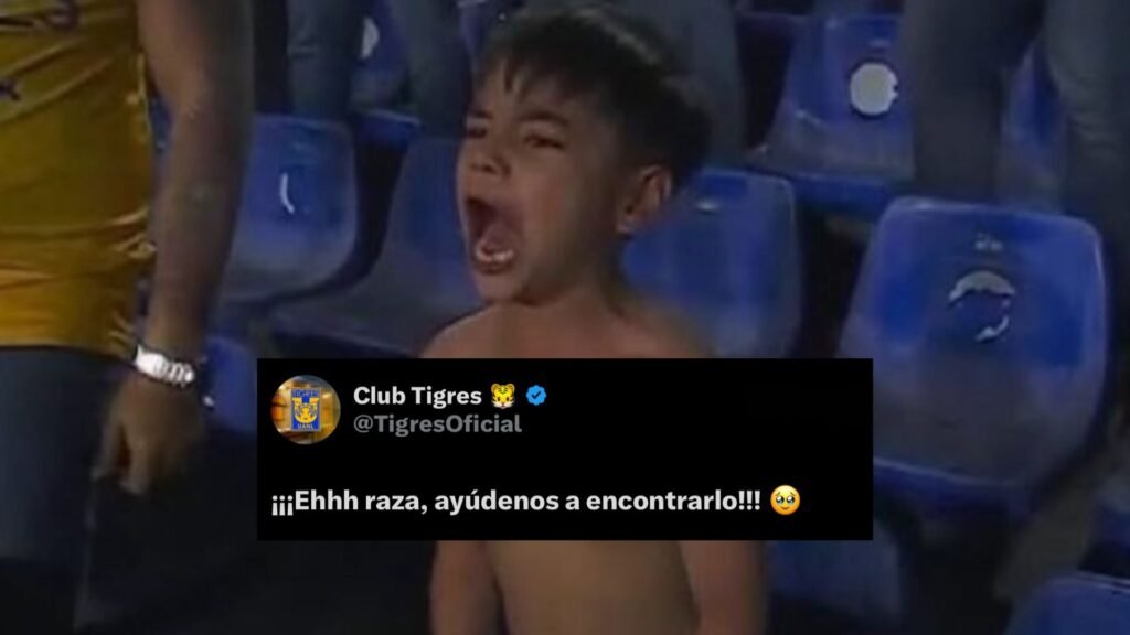 Plecas e informacion