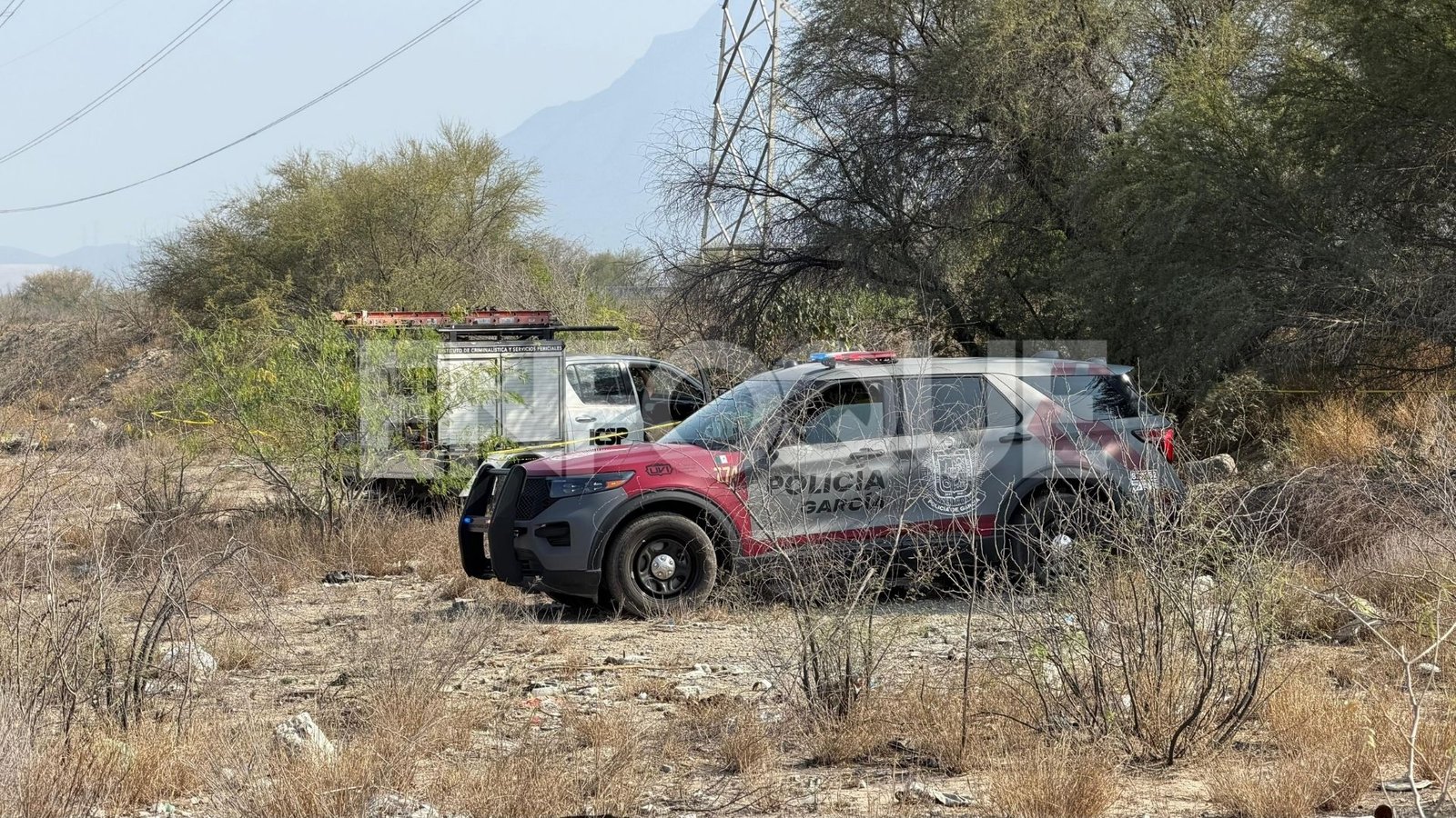 Plecas e informacion