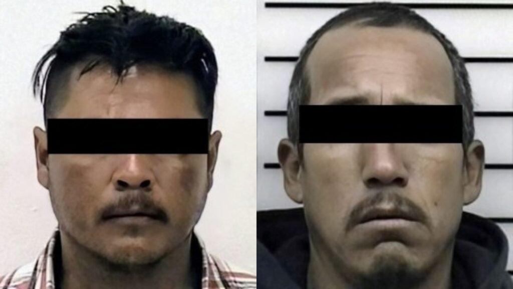 Plecas e informacion