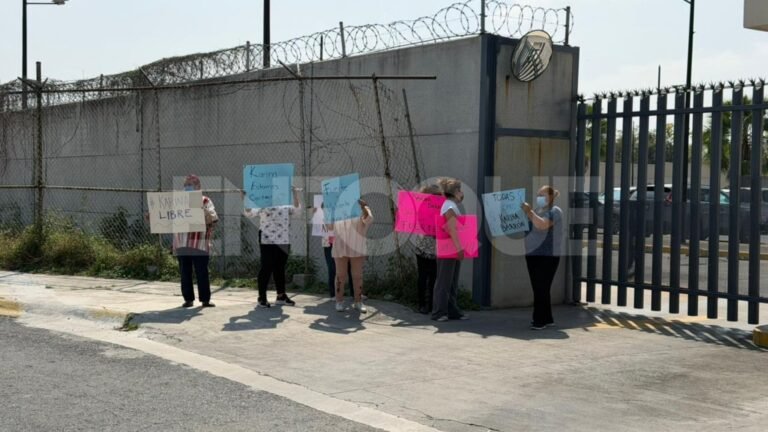 Plecas e informacion (2)