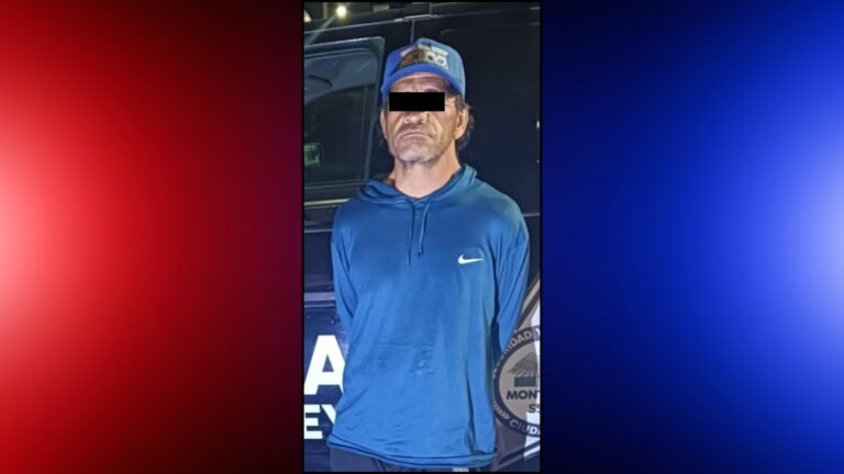 Plecas e informacion - 2026-03-03T094348.902