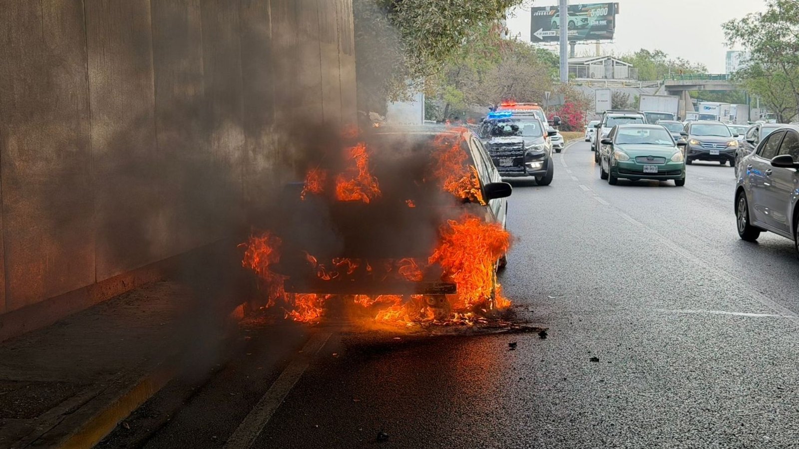 Plecas e informacion - 2026-03-03T095733.000