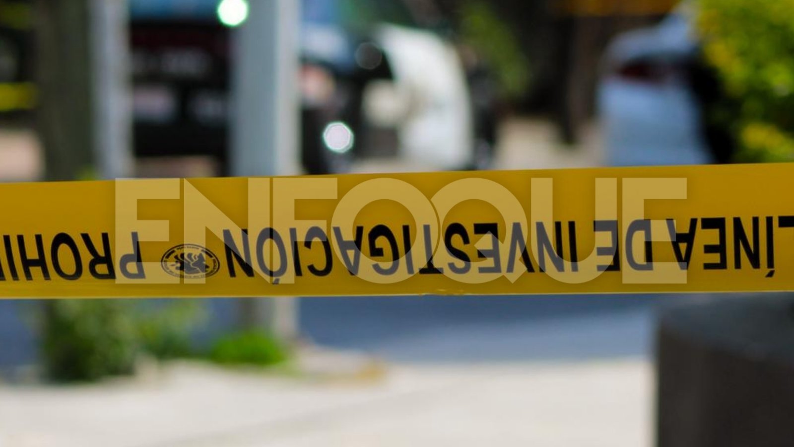 Plecas e informacion - 2026-03-03T100235.371