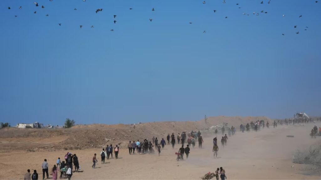 Plecas e informacion - 2026-03-03T123017.176