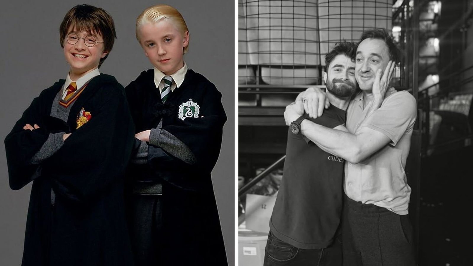 Plecas e informacion - 2026-03-06T112951.661