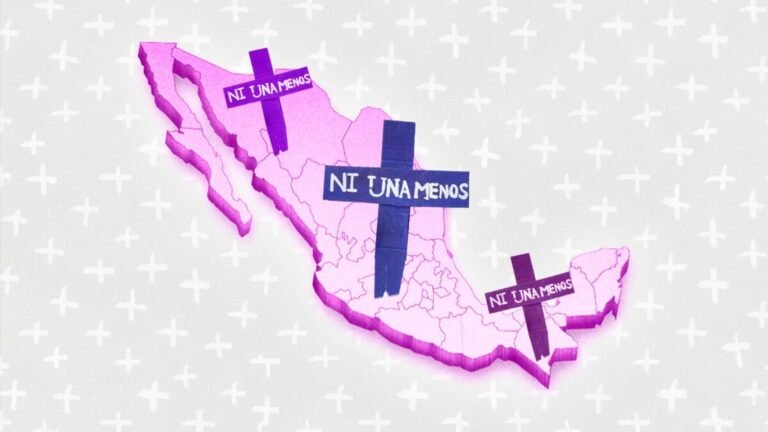 Plecas e informacion - 2026-03-08T105732.914