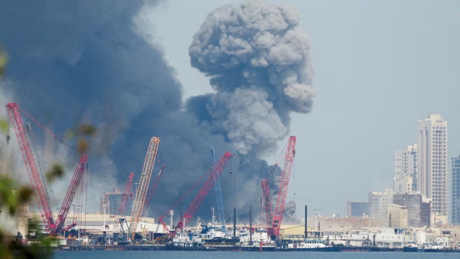 Plecas e informacion - 2026-03-08T113435.503