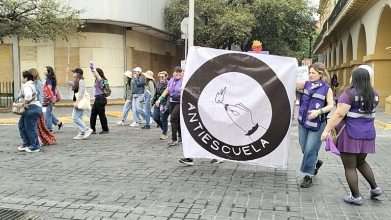 Plecas e informacion - 2026-03-08T131522.633