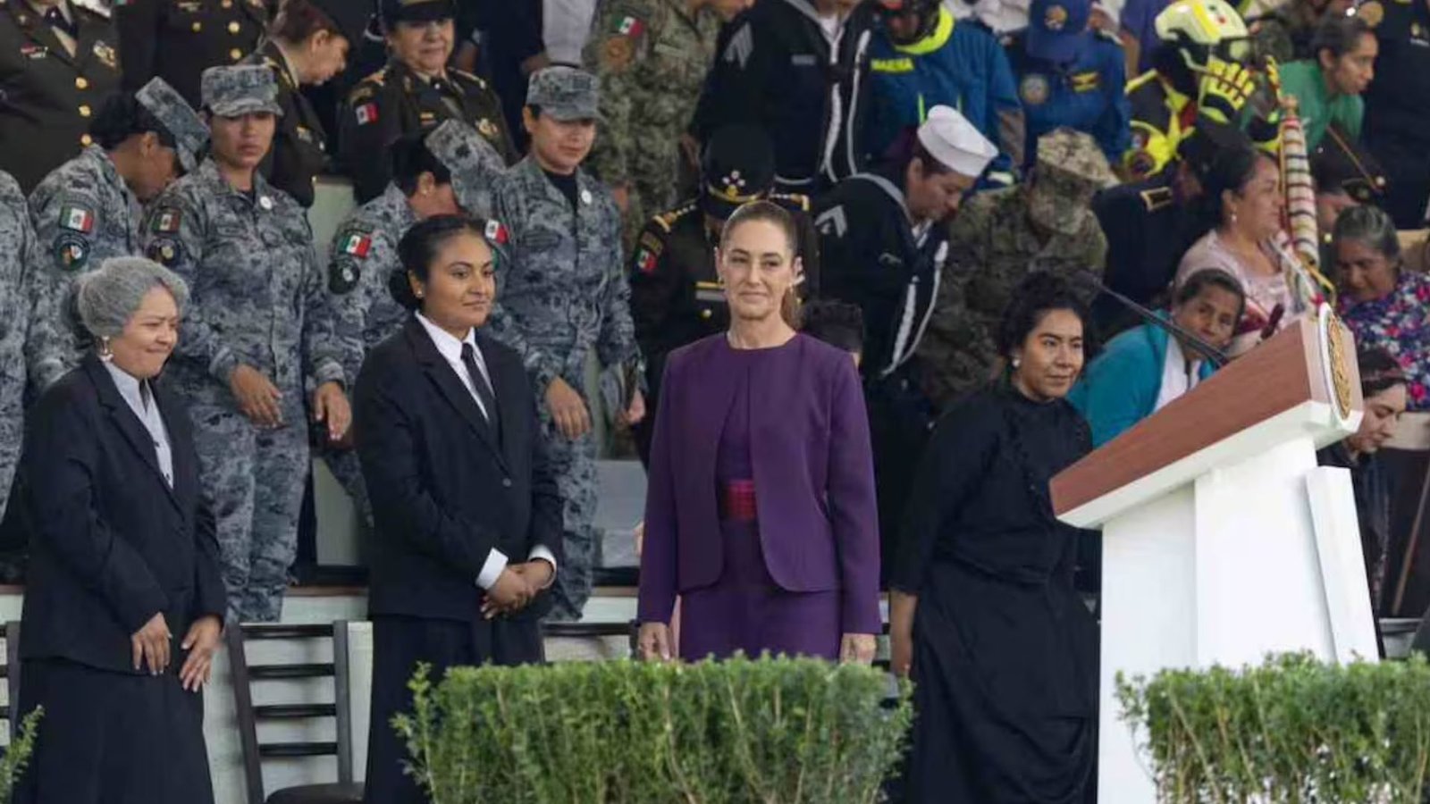 Plecas e informacion - 2026-03-08T154228.523