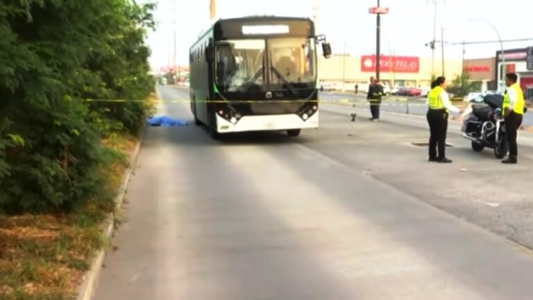 Plecas e informacion - 2026-03-10T092123.829