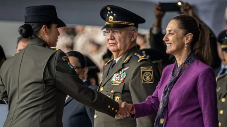 Plecas e informacion - 2026-03-10T103056.876