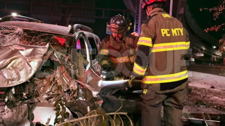 Plecas e informacion - 2026-03-11T100221.442