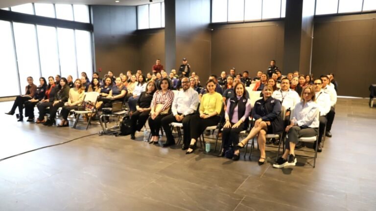 Plecas e informacion - 2026-03-11T113329.644