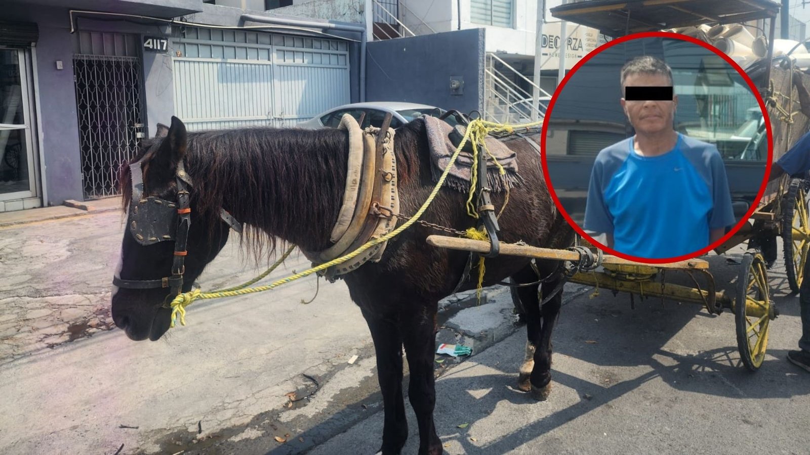 Plecas e informacion - 2026-03-12T101752.740