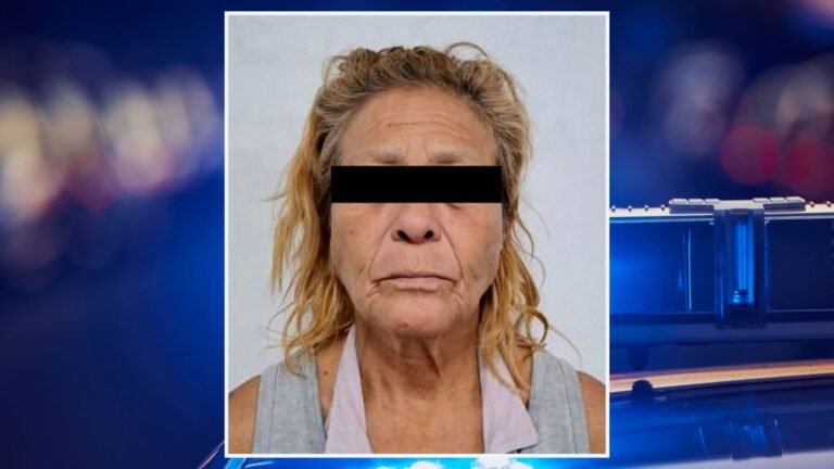 Plecas e informacion - 2026-03-12T143607.745