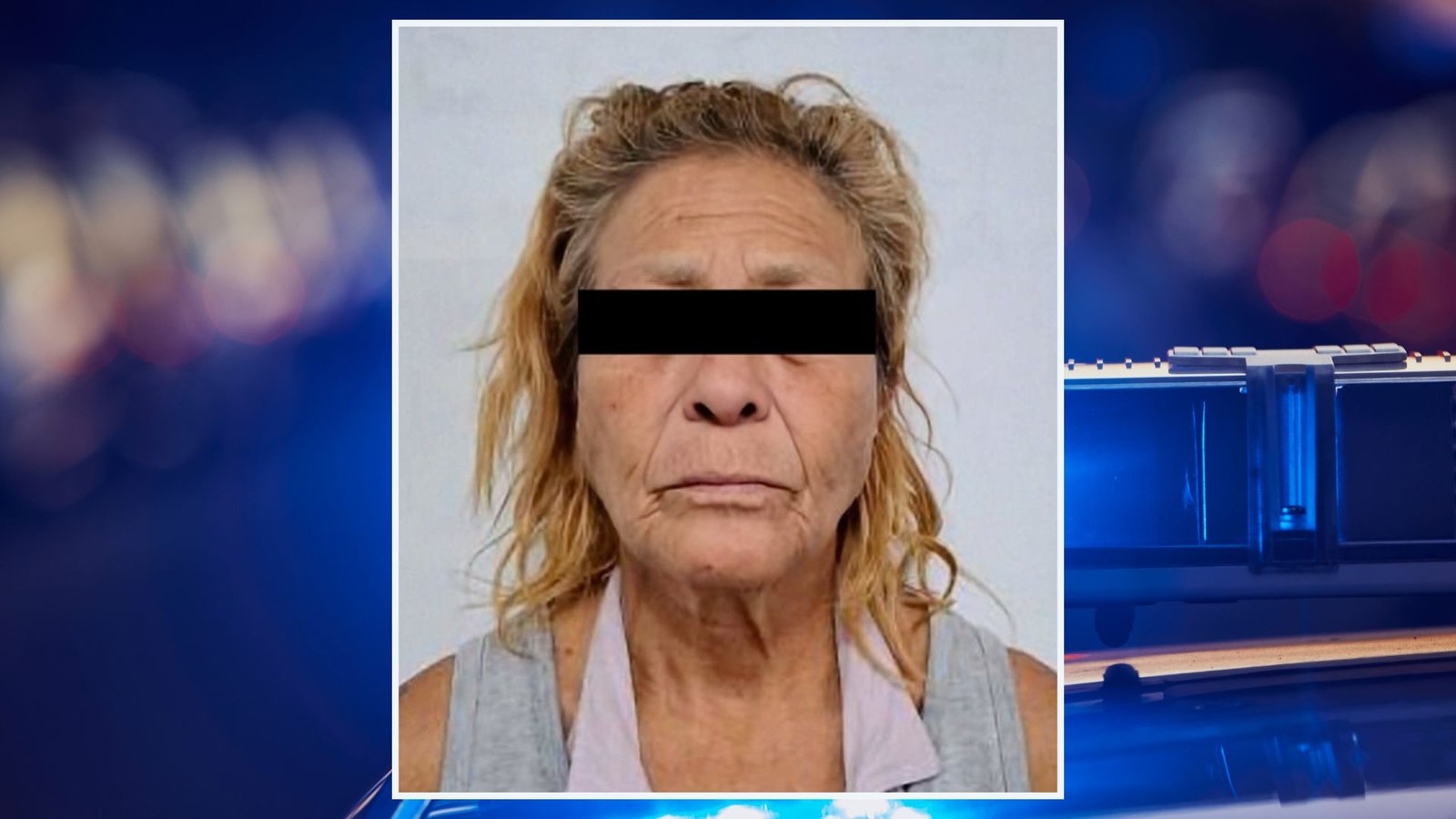 Plecas e informacion - 2026-03-12T143607.745