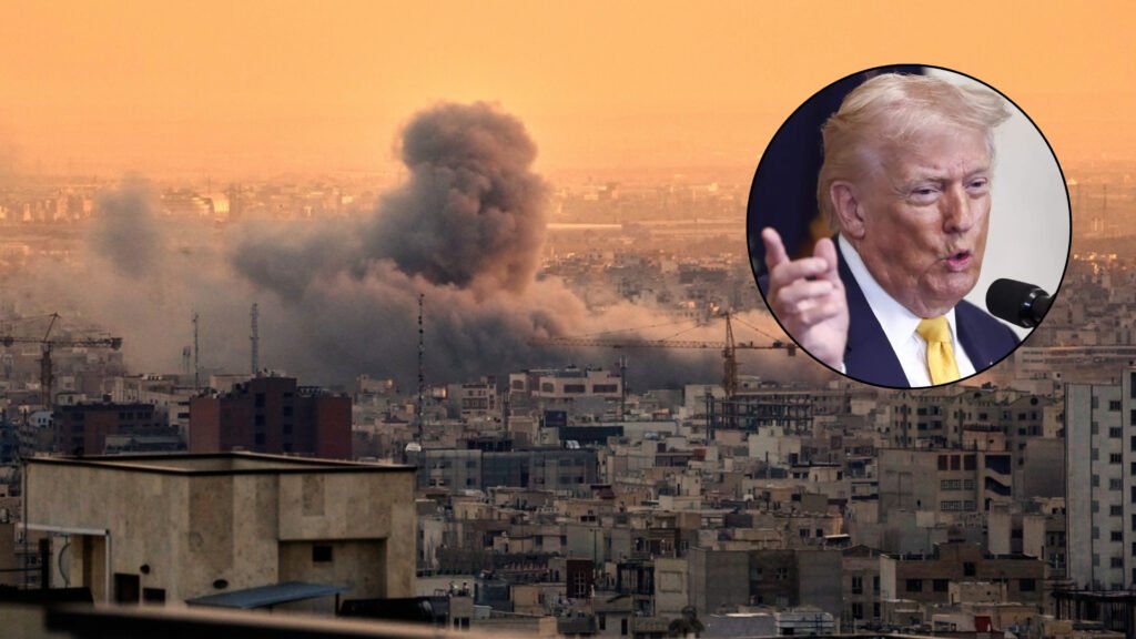 Plecas e informacion - 2026-03-13T122339.082