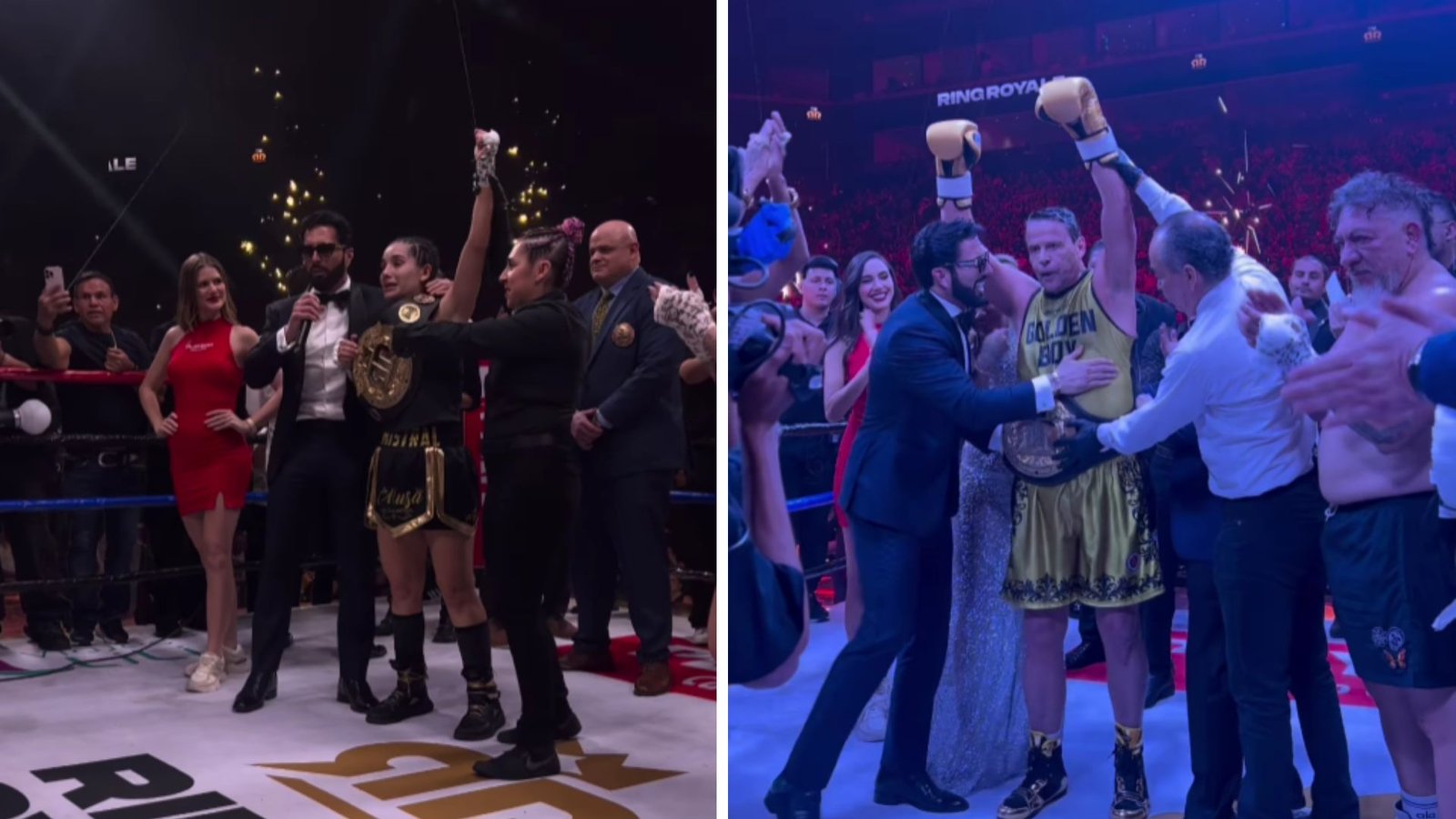 Plecas e informacion - 2026-03-16T114636.499