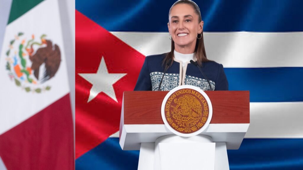 Plecas e informacion - 2026-03-16T182202.698