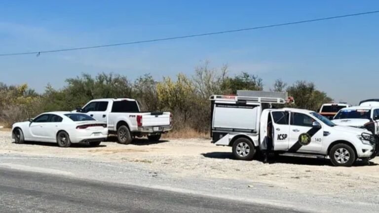 Plecas e informacion - 2026-03-16T203739.769