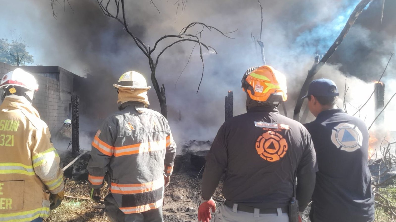 Plecas e informacion - 2026-03-17T105026.258