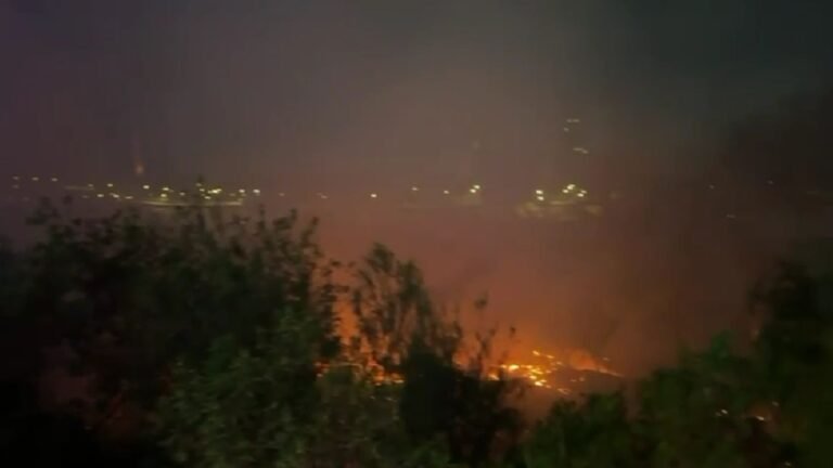 Plecas e informacion - 2026-03-17T112831.208