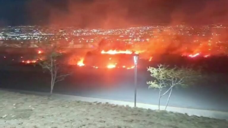 Plecas e informacion - 2026-03-17T113204.715