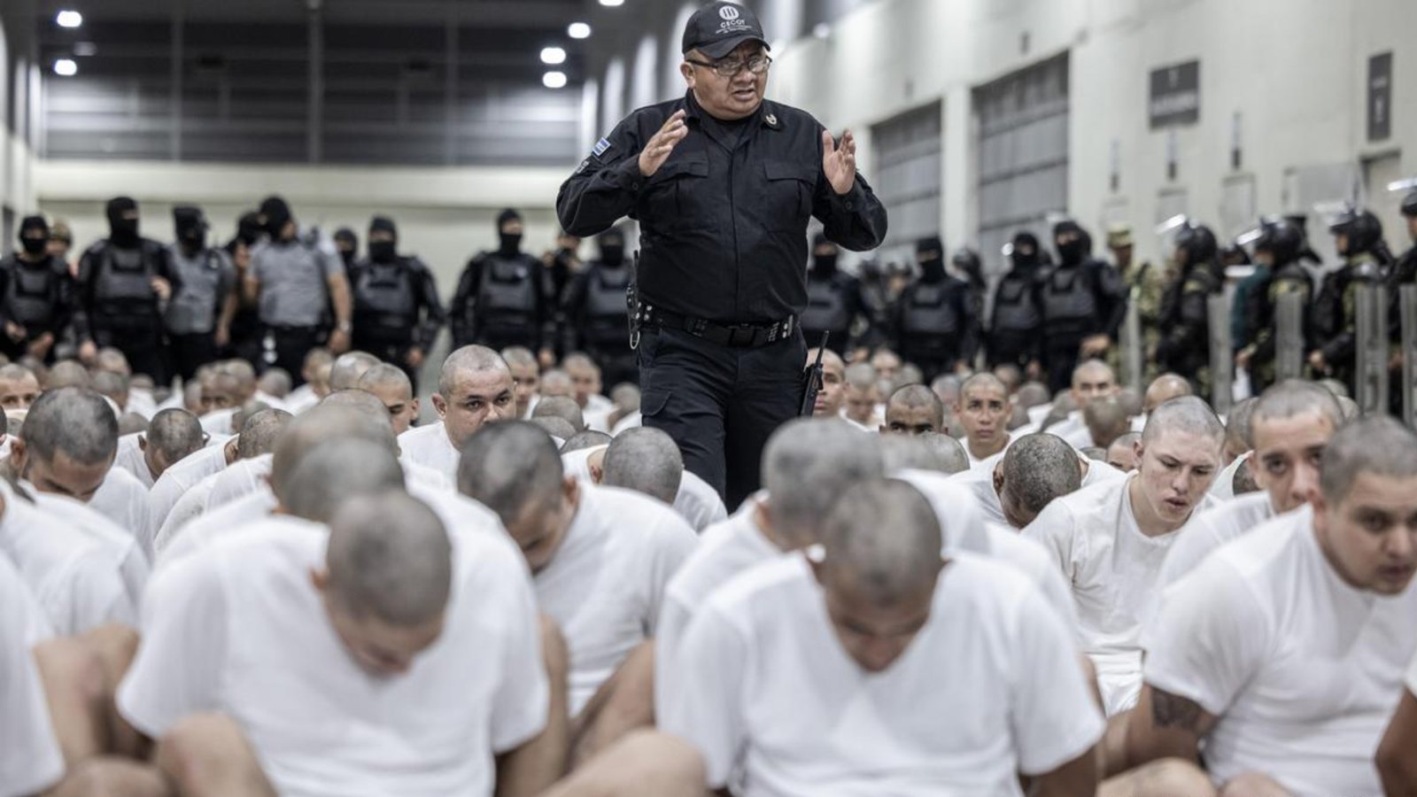 Plecas e informacion - 2026-03-19T095846.410