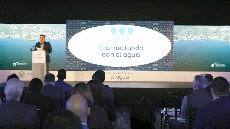 Plecas e informacion - 2026-03-19T114148.134