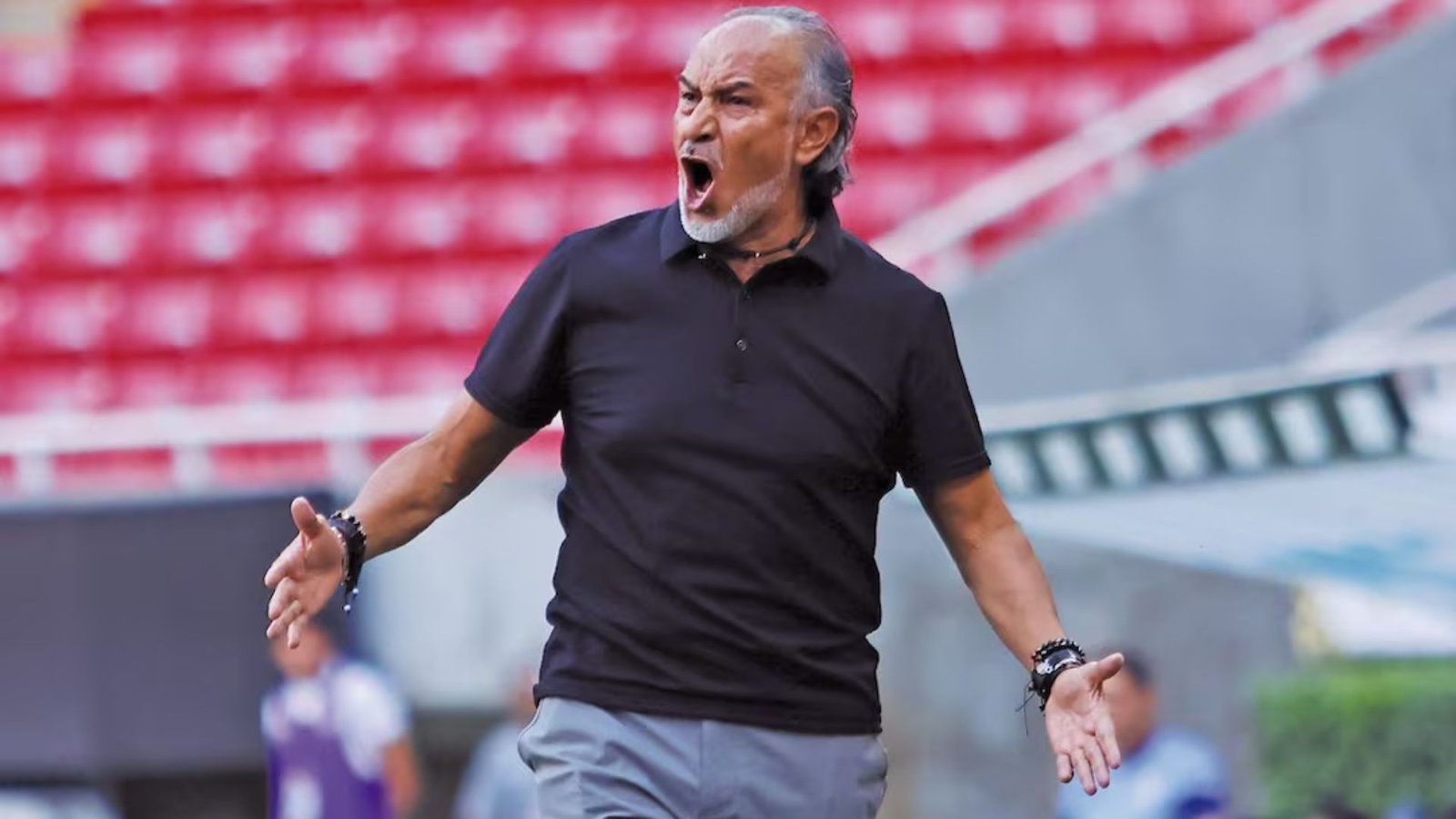 Plecas e informacion - 2026-03-21T121115.884