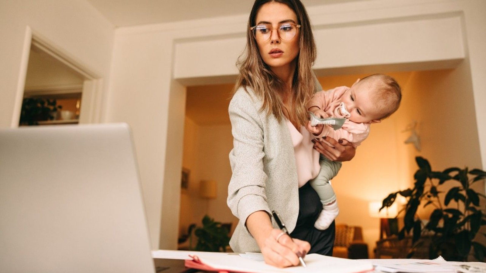 Plecas e informacion - 2026-03-21T163004.403