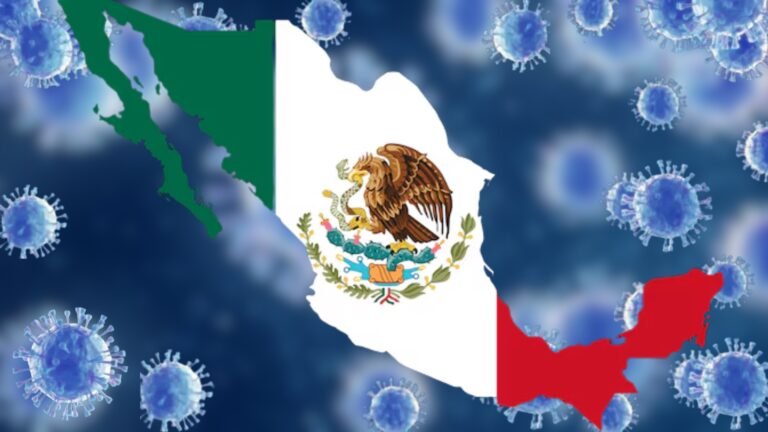 Plecas e informacion - 2026-03-21T171055.924