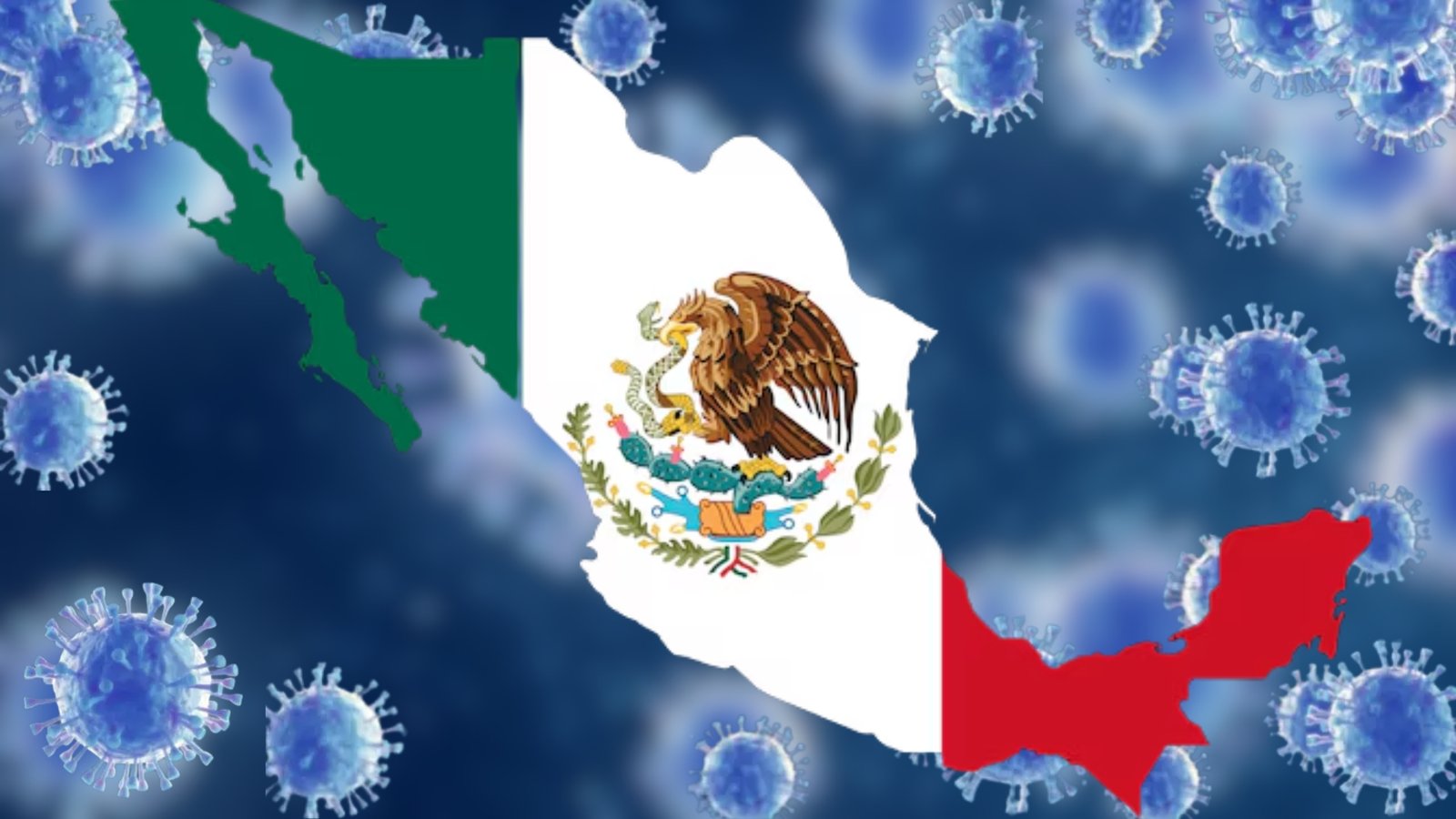 Plecas e informacion - 2026-03-21T171055.924