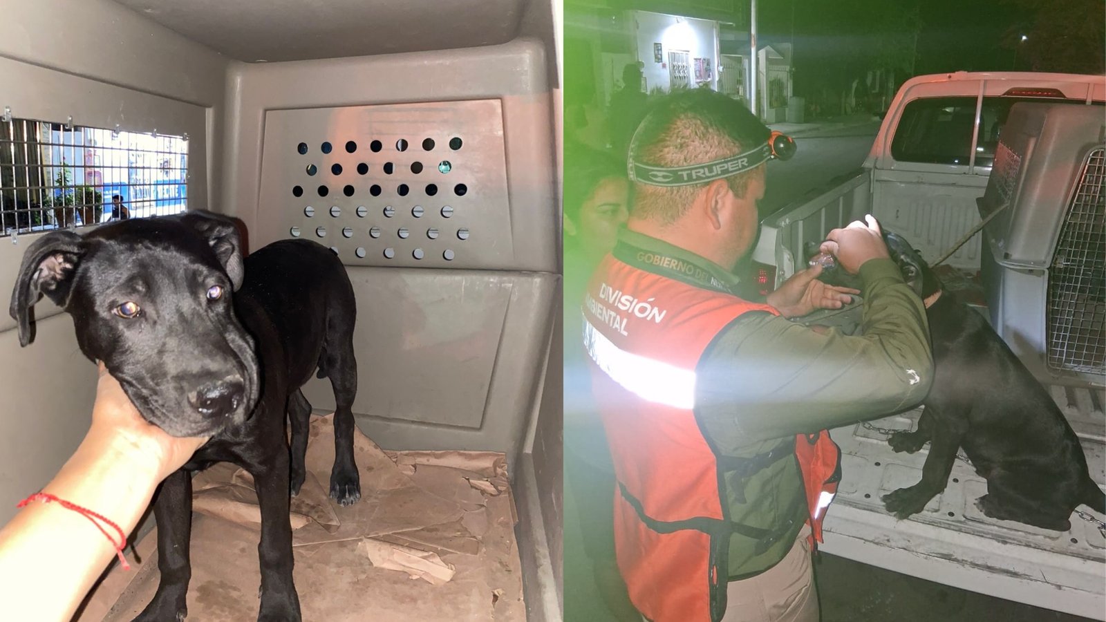 Plecas e informacion - 2026-03-22T144113.773