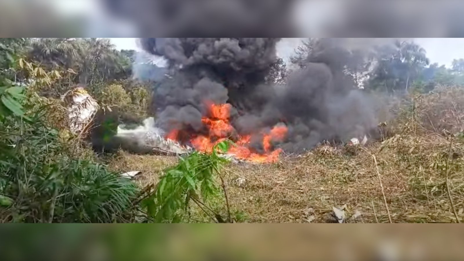 Plecas e informacion - 2026-03-23T123158.527