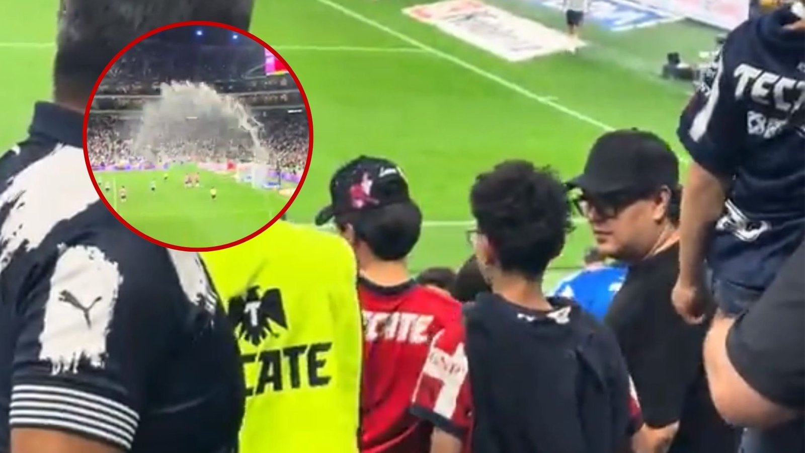 Plecas e informacion - 2026-03-23T140812.442