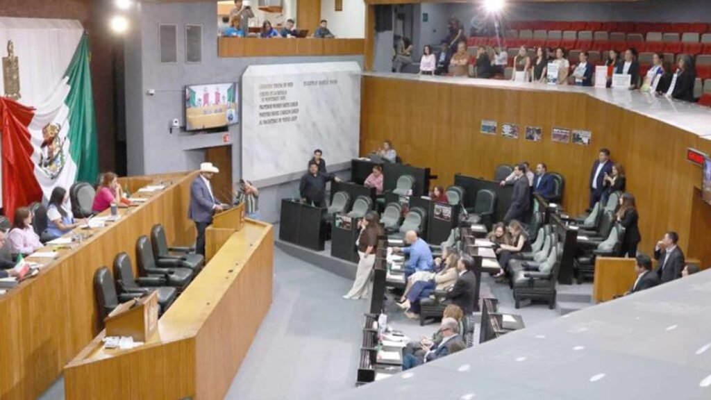 Plecas e informacion - 2026-03-24T114017.691