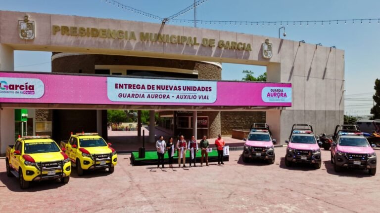 Plecas e informacion - 2026-03-25T094645.259