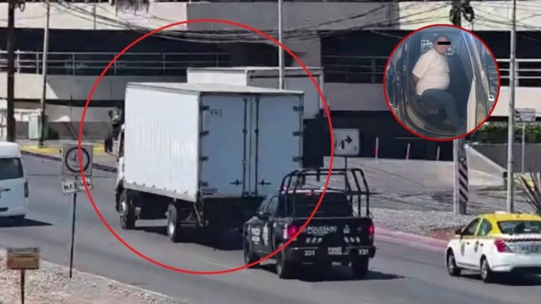 Plecas e informacion - 2026-03-27T101538.631