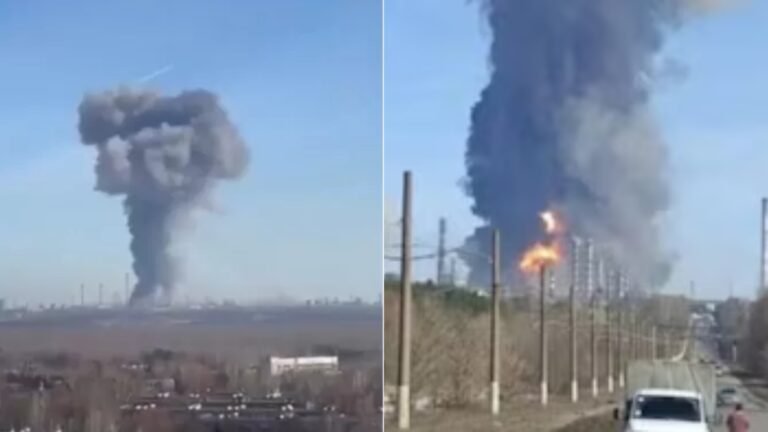 Plecas e informacion - 2026-03-31T102324.196