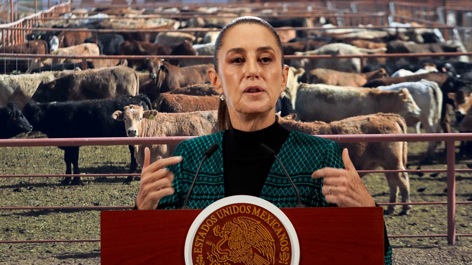 Plecas e informacion - 2026-03-31T110034.999