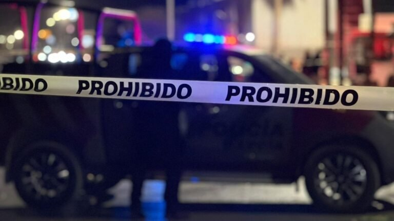 Plecas e informacion - 2026-03-31T112637.345