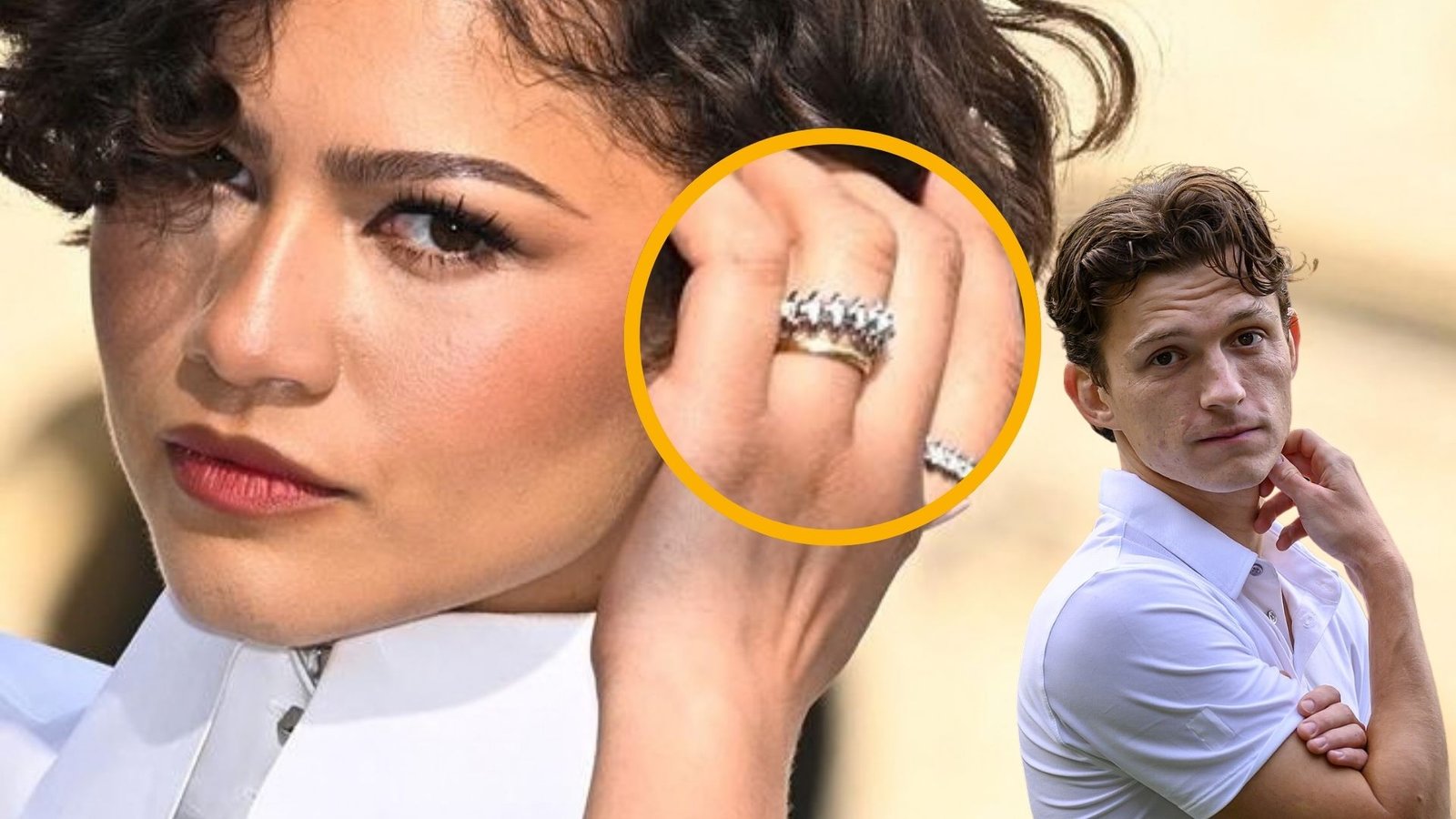 Plecas e informacion (6)