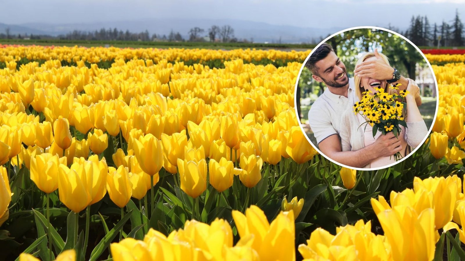 Presentación Libre Producto - 2026-03-20T174815.398