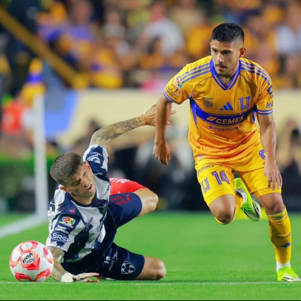 WhatsApp Image 2026-03-10 at 12.17.47 PM