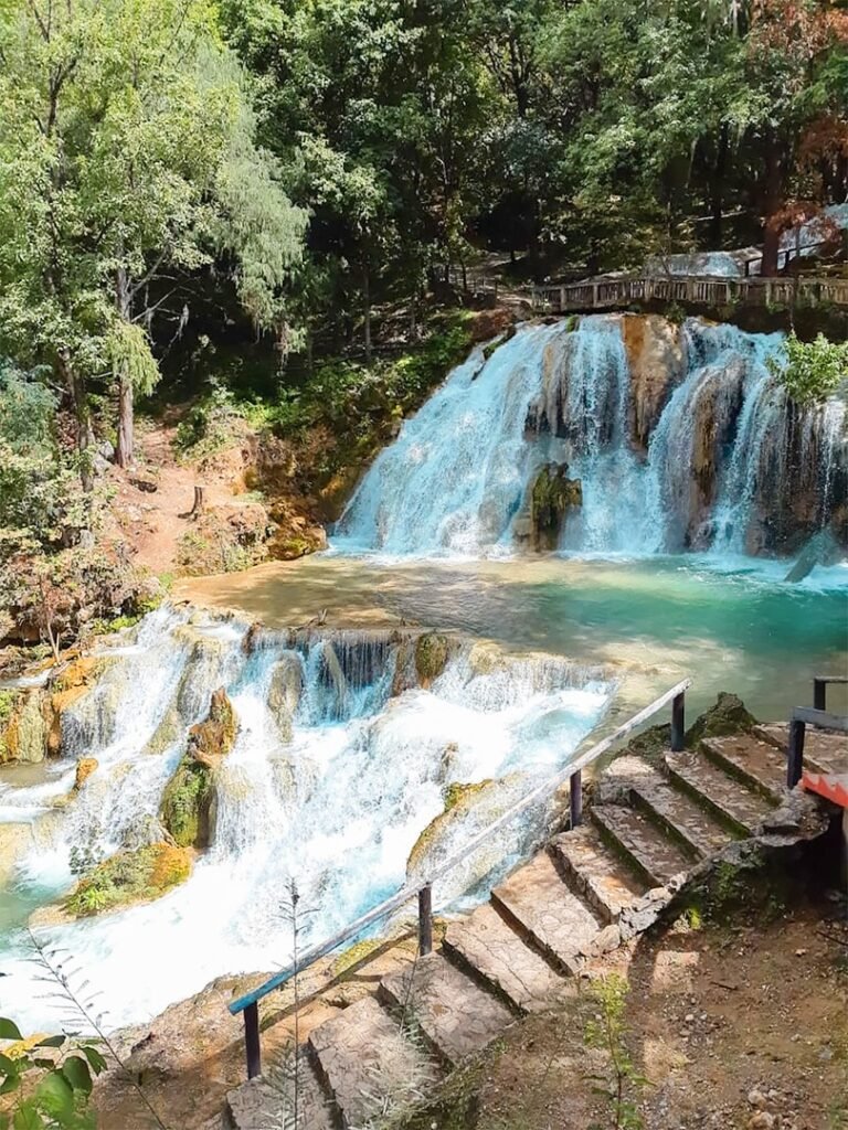 WhatsApp Image 2026-03-31 at 1.55.34 PM